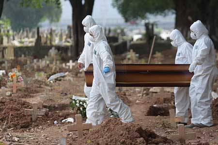 نابود کردن سلول‌های سرطانی و جلوگیری از دیابت نوع ۲ با عصاره یک علف هرز!