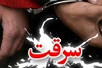 سارقان حرفه‌ای (+فیلم)