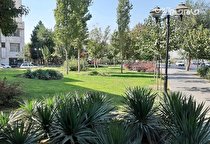 امسال 40 میلیارد تومان برای فضای سبز شهری هزینه خواهد شد