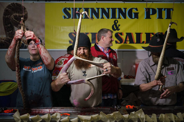 سرمای وحشتناک در روسیه / کشتارگاه مار در آمریکا (گزارش تصویری) سرمای وحشتناک در روسیه / کشتارگاه مار در آمریکا (گزارش تصویری)