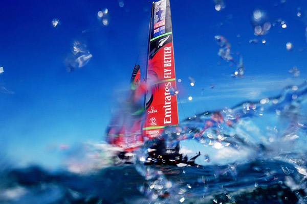 یک زنبور سبز و غول پیکر / مسابقه گاو سواری! (گزارش تصویری) یک زنبور سبز و غول پیکر / مسابقه گاو سواری! (گزارش تصویری)