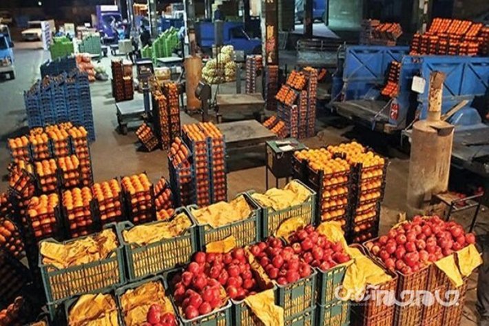 بمنظور تنظیم بازار شب عید، هزار و ۴۰۰ تن پرتقال و سیب درختی در هرمزگان ذخیره  وعرضه می شود.