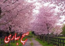 نشاط آفرینی و تقویت آداب و رسوم محلی در برنامه « صبح بهاری »