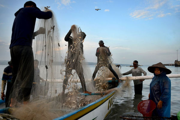 حمله ملخ ها به کشاورزان / تماشای فوتبال در اوج کرونا (گزارش تصویری)