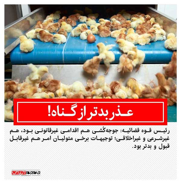 زندهکُشی جوجه های یک روزه خلاف قانون و شرع بود؛ توجیهات مسئولان مربوطه غیرقابل قبولتر (+فیلم) زندهکُشی جوجه های یک روزه خلاف قانون و شرع بود؛ توجیهات مسئولان مربوطه غیرقابل قبولتر (+فیلم)