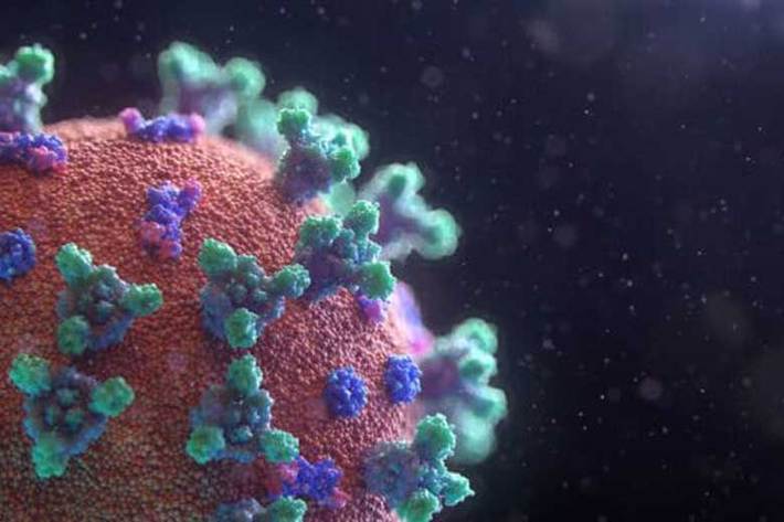 پژوهشگران دانشگاه اوترخت (Utrecht University) هلند در مطالعه اخیرشان اظهار کرده‌اند یک پادتن یا آنتی‌بادی کشف کرده‌اند که می‌تواند از عفونی شدن سلول‌های کشت شده، توسط کروناویروس سندرم حاد تنفسی ۲ جلوگیری کند.