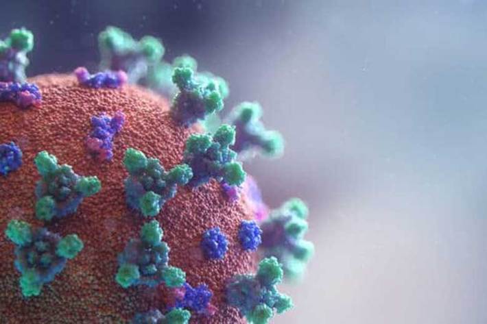 دانشمندان موسسه ایمنی شناسی لاجولا (La Jolla Institute for Immunology) آمریکا در حالی که در حال جمع آوری داده‌هایی درباره پاسخ ایمنی ضد ویروسی قوی به «کروناویروس سندرم حاد تنفسی ۲» (SARS-CoV-۲) بودند، دریافتند که سیستم ایمنی بدن می‌تواند کروناویروس سندرم حاد تنفسی ۲ را از بسیاری جهات تشخیص دهد.