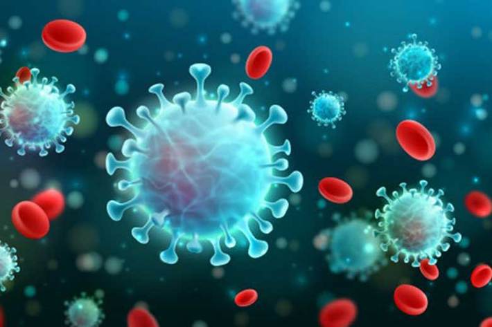 استاد علوم و صنایع غذایی دانشگاه علوم پزشکی شهید بهشتی گفت: ویروس کووید 19 مانند سایر ویروس‌ها می‌تواند از طریق غذا هم به بدن منتقل شود.