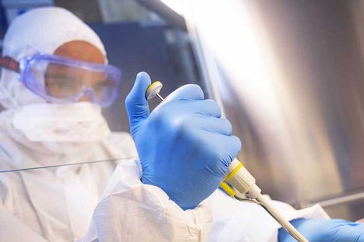 محققان استرالیایی یک شرکت باور دارند، روش درمانی سلول‌ های بنیادی آنها می‌تواند به درمان بیماران مبتلا به ویروس کرونا کمک کند.