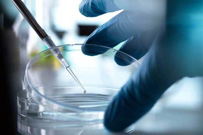 محققان فعال در زمینه سلول های بنیادی در صدد هستند تا در زمینه تولید داروهای ضد ویروس، واکسن، سلول درمانی و تجهیزات مورد نیاز در بحران کرونا اقدام کنند که نتایج آن به زودی اعلام می شود.