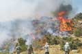 ماجرای آتش سوزی های اخیر در جنگل ها و مراتع