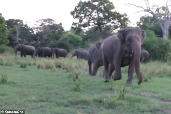 دور دنیا در قاب تصاویر دور دنیا در قاب تصاویر