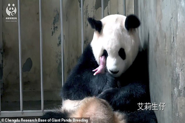 دور دنیا در قاب تصاویر دور دنیا در قاب تصاویر