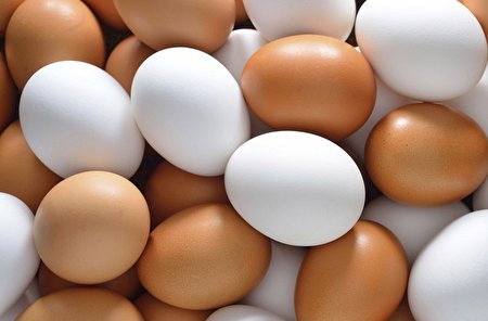تخم مرغ گران نشده، فقط افزایش قیمت داشته است!