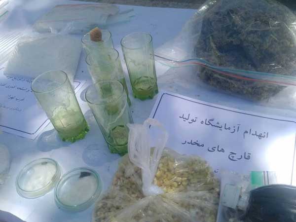 «قارچ سمی» کشف جدید پلیس(+ عکس)