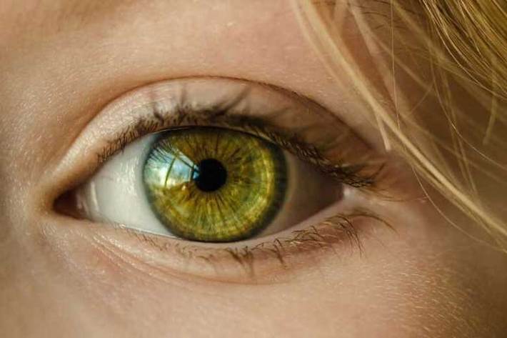 محققان دانشگاه نیویورک دریافتند با استفاده از حرکات ریز چشم می‌توان توانایی انسان را در پیش‌بینی محرک‌های محیطی، فارغ از روش حسی این محرک‌ها اندازه‌گیری کرد. در این تحقیقات ارتباط جدیدی بین حس بینایی و حس لامسه شناسایی شد که رابطه شگفت‌انگیزی را بین قابلیت‌های پیش‌بینی، شناخت و اقدام نشان می‌دهد.
