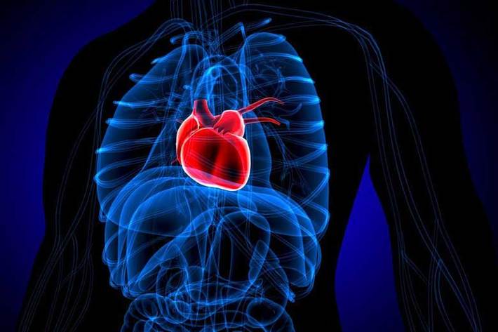 تحقیقات جدید یک انجمن پزشکی آمریکایی نشان می دهد که کاردیومیوپاتی یا همان سندرم قلب شکسته که یک بیماری موقت قلبی است که اغلب توسط اوضاع استرس‌زا و احساسات شدید بروز می‌کند؛ در دوران همه‌گیری ویروس کرونا افزایش یافته است.