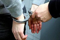 عرقگیر صورتی، کار دست دزد حرفهای داد