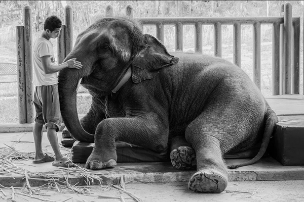 دور دنیا در قاب تصاویر؛ پرستاران خندان دور دنیا در قاب تصاویر؛ پرستاران خندان