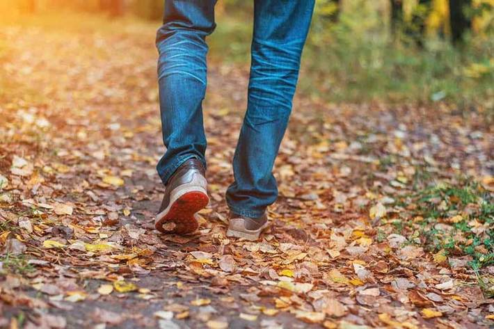 چرا باید راه رفتن را شروع کنید؟ یکی از بهترین کارهایی است که می‌توانید برای سلامت بدن، ذهن و روح خود انجام دهید، ۳۰ تا ۶۰ دقیقه پیاده‌روی در روز است.
