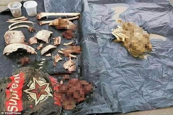 هولناک ترین تصاویر روز؛ بقایای جسد پسر 14 ساله در شکم تمساح (تصاویر) هولناک ترین تصاویر روز؛ بقایای جسد پسر 14 ساله در شکم تمساح (تصاویر)