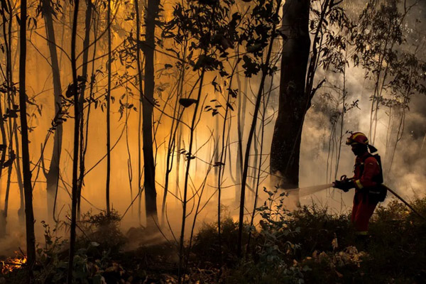 دور دنیا در قاب تصاویر؛ دستگیر شدن به دلیل ماسک نزدن! دور دنیا در قاب تصاویر؛ دستگیر شدن به دلیل ماسک نزدن!