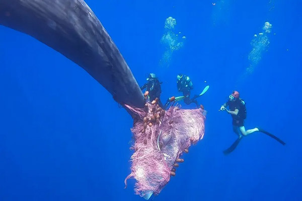 دور دنیا در قاب تصاویر؛ چشم انتظاری غم انگیز مادر 110 ساله برای دختر 78 ساله دور دنیا در قاب تصاویر؛ چشم انتظاری غم انگیز مادر 110 ساله برای دختر 78 ساله