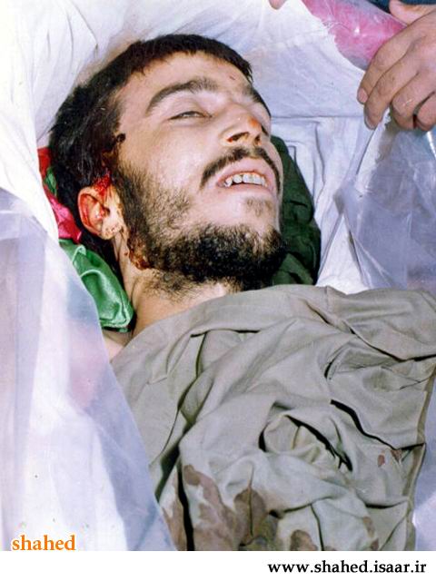 شیر صحرا شیر صحرا