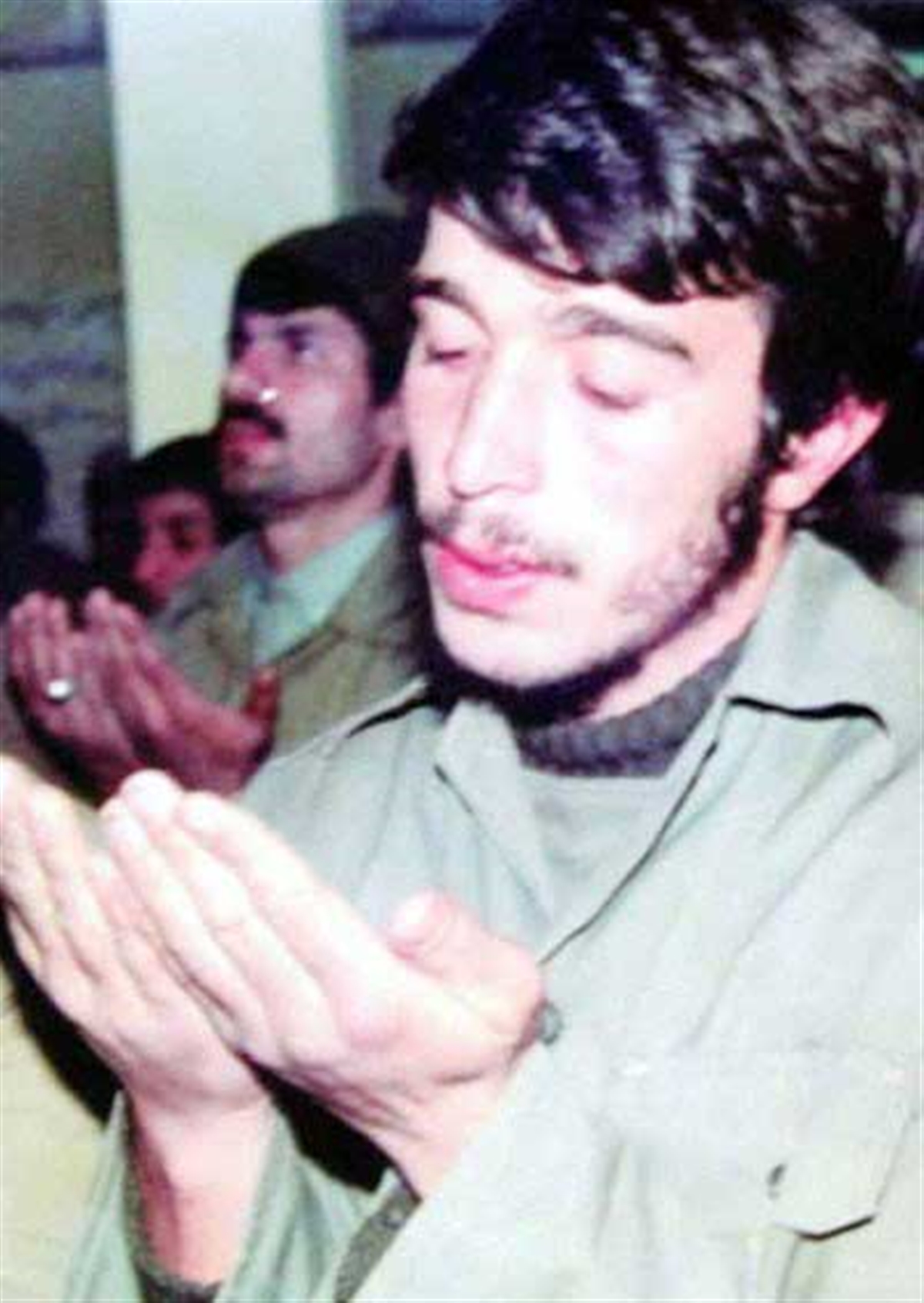 شیر صحرا شیر صحرا