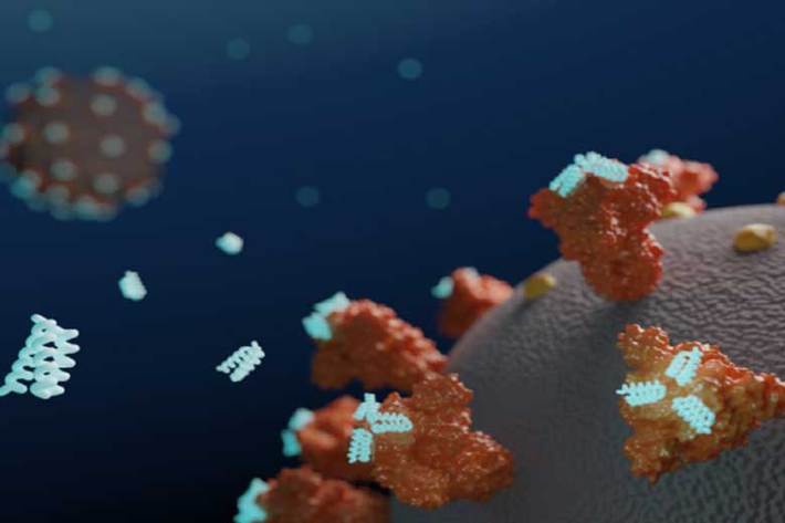 دانشمندان آمریکایی اقدام به ساخت یک پروتئین مصنوعی برای خنثی کردن ویروس کووید ۱۹ و جلوگیری از شیوع آن در میان افراد کرده‌اند.