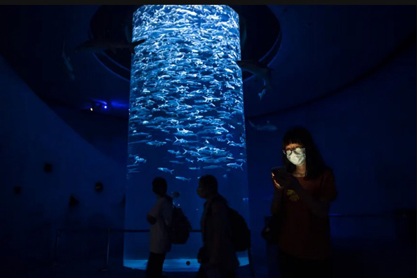 دور دنیا در قاب تصاویر؛ کرونا نوزاد 3 ماهه را کشت