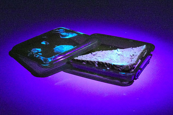 اجتماع ترسناک ویروس کرونا بر روی اجسام محل کار (گزارش تصویری) اجتماع ترسناک ویروس کرونا بر روی اجسام محل کار (گزارش تصویری)