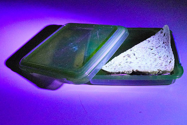 اجتماع ترسناک ویروس کرونا بر روی اجسام محل کار (گزارش تصویری) اجتماع ترسناک ویروس کرونا بر روی اجسام محل کار (گزارش تصویری)