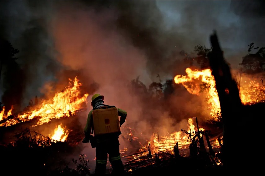 آتشی که آمازون و حیواناتش را می بلعد (گزارش تصویری) آتشی که آمازون و حیواناتش را می بلعد (گزارش تصویری)