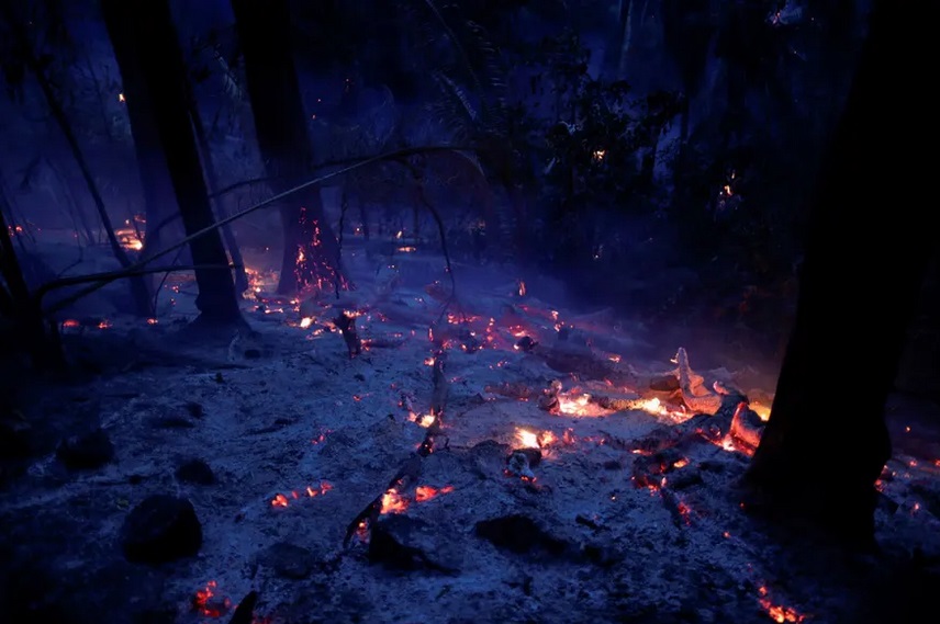 آتشی که آمازون و حیواناتش را می بلعد (گزارش تصویری) آتشی که آمازون و حیواناتش را می بلعد (گزارش تصویری)