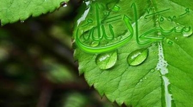 براهین اثبات وجود خدا از دیدگاه امام علی علیه السلام براهین اثبات وجود خدا از دیدگاه امام علی علیه السلام