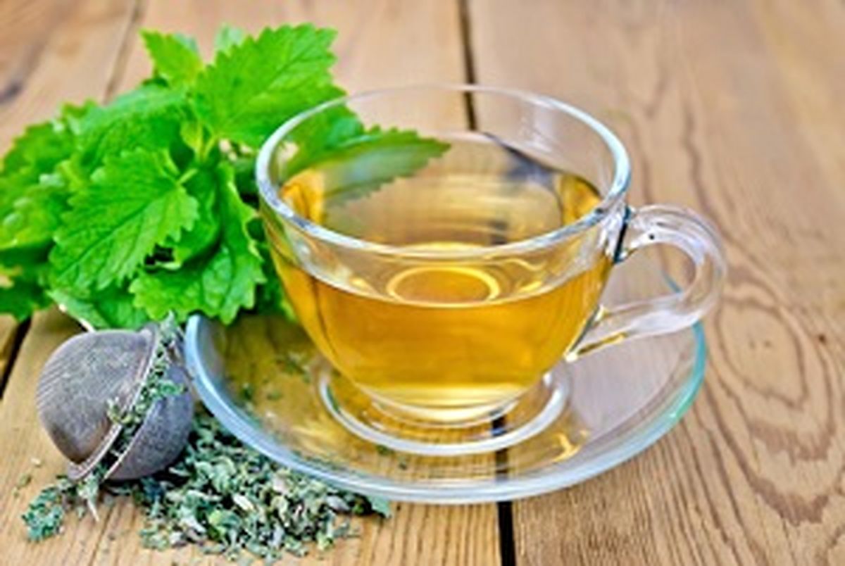 خواص معجزه آسای پنهان در دمنوش و چای پونه