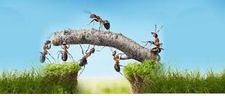 تشویق به کار و تلاش از منظر قرآن و روایات