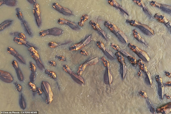 دور دنیا در قاب تصاویر ؛ کشف گور دسته جمعی تن های بدون سر دور دنیا در قاب تصاویر ؛ کشف گور دسته جمعی تن های بدون سر