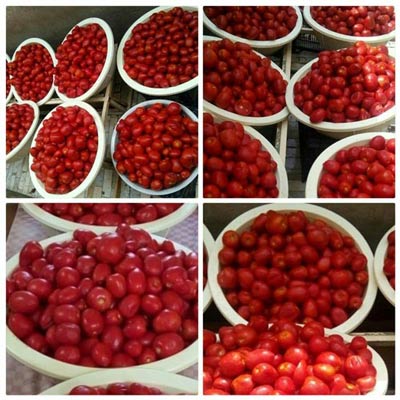 طرز تهیه رب گوجه خانگی