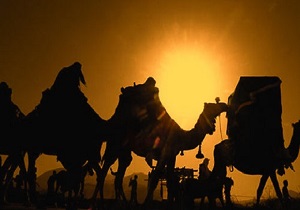 کاروان اسرای کربلا در کدام اربعین به کربلا گام نهادند؟ کاروان اسرای کربلا در کدام اربعین به کربلا گام نهادند؟