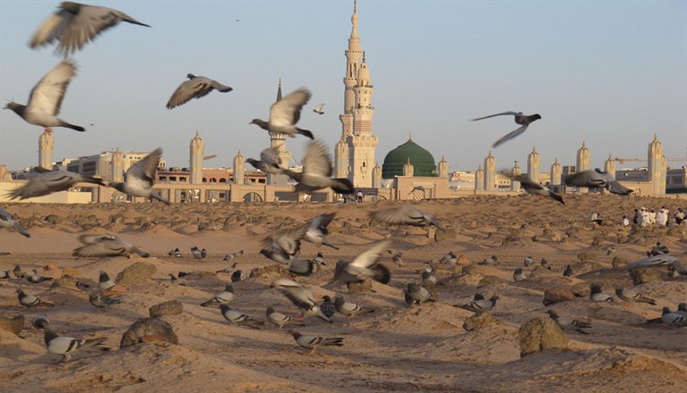 ماجرای رواج فساد و فحشاء در مکه و مدینه پس از عاشورا