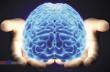 جایگاه عقل جایگاه عقل