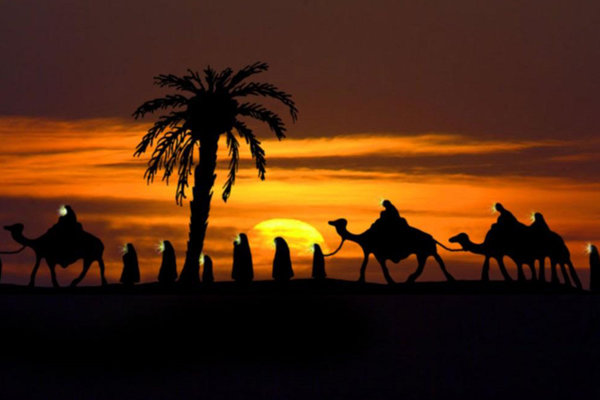 نگاهی به زندگی حضرت سکینه(س) نگاهی به زندگی حضرت سکینه(س)