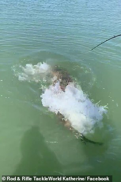 تهدید به خودکشی روی برج ترامپ! / کلاهی برای کرونا (تصاویر)