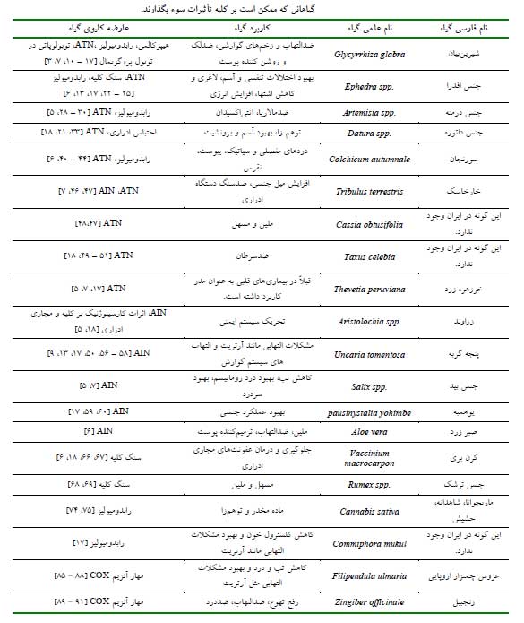 مشکلاتی که گیاهان دارویی برای کلیهها ایجاد میکنند (+عکس) مشکلاتی که گیاهان دارویی برای کلیهها ایجاد میکنند (+عکس)