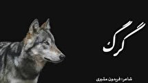 گرگ درون: شعری از فریدون مشیری