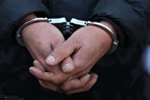 سارق ۸ میلیارد تومانی پایتخت بازداشت شد