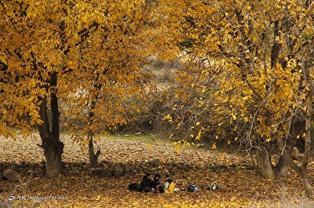 طبیعت پاییزی ارسباران (گزارش تصویری)