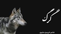 گرگ درون: شعری از فریدون مشیری